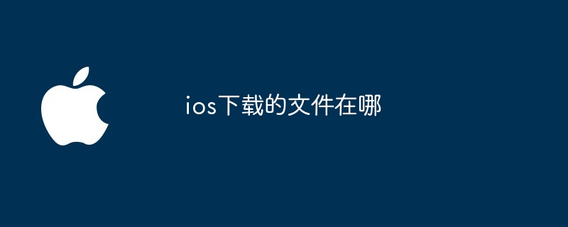 ios下载的文件在哪