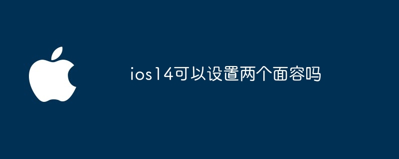 ios14可以设置两个面容吗