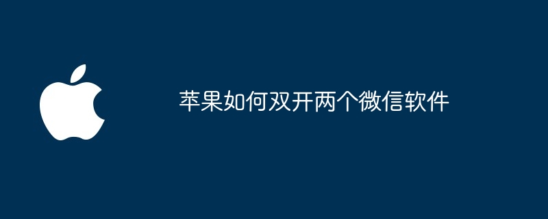 苹果如何双开两个微信软件