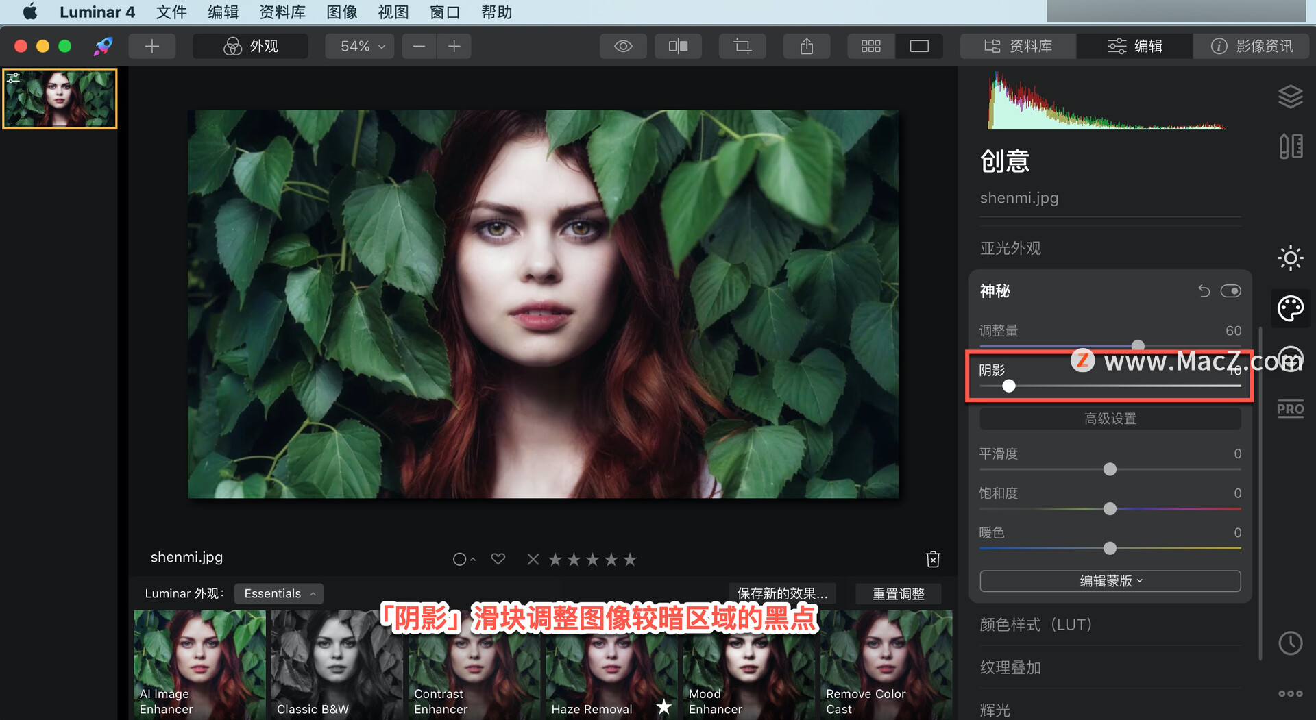 Luminar  4?教程「20」，如何在 Luminar  4 中？使用神秘工具？