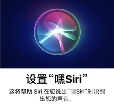 iphone12siri没有语音反馈