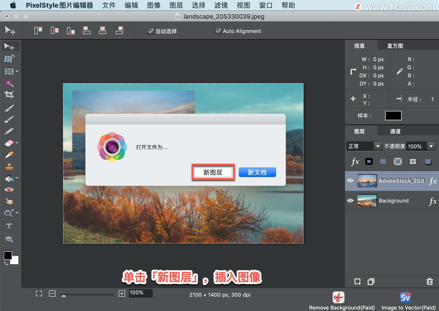 PixelStyle  教程「15」，如何在 PixelStyle  中插入图像？