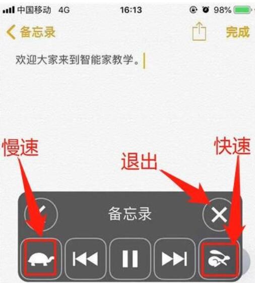 iphone11朗读屏幕的方法介绍