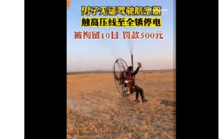 男子驾驶滑翔伞触高压线致全镇停电 罚500元拘10天