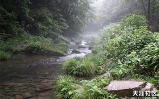 去张家界旅游自助游有了新攻略(转载)