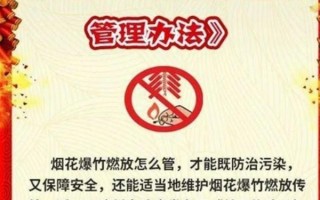 委员建议禁放烟花爆竹改为限时燃放：年味儿该回来了！