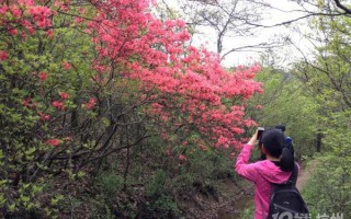 宣城宁国市万家乡云山村周家组——【福满来农家乐】旅游攻略