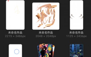 procreate pocket怎样预览图片