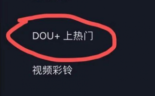 看看这篇dou+实操教程