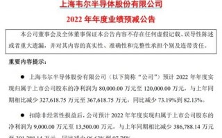 国产千亿芯片巨头韦尔股份突然爆雷：国人不换手机背锅？ 你多久没换了