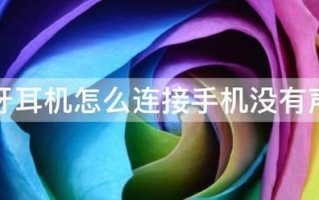 蓝牙耳机怎么连接手机没有声音