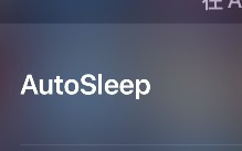 autosleep怎样设置中文