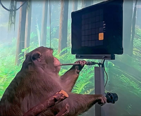Neuralink已经实现了在猪和猴子身上的脑机接口试验-第1张图片-9158手机教程网