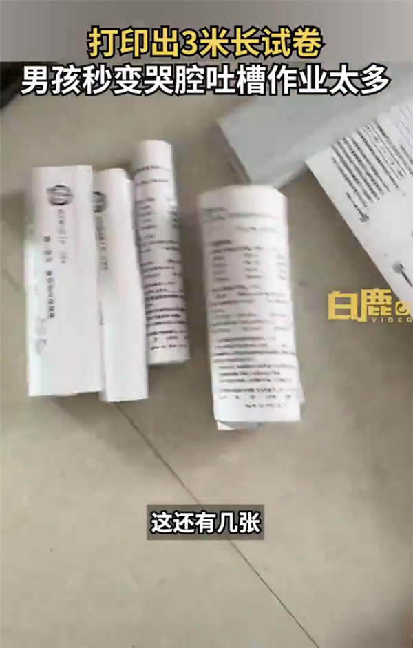 打印出3米长试卷9岁男孩秒变哭腔 这作业太多了：网友热议小学有必要吗？-第1张图片-9158手机教程网