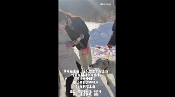 女子误把二哈当狼哭着报警 网友笑趴:哈士奇遇到伯乐了-第2张图片-9158手机教程网 女子误把二哈当狼哭着报警 网友笑趴:哈士奇遇到伯乐了-第2张图片-9158手机教程网