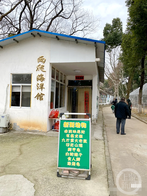 安徽一动物园被曝有九斤重大老鼠,园方:是变异老鼠去下崽了现在看不到-第1张图片-9158手机教程网 安徽一动物园被曝有九斤重大老鼠,园方:是变异老鼠去下崽了现在看不到-第1张图片-9158手机教程网