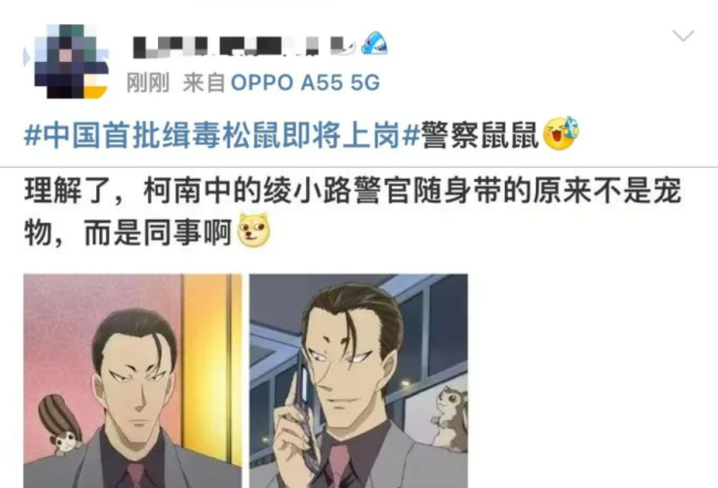 中国首批缉毒松鼠即将上岗,继汪汪队之后鼠鼠队也要立大功了-第5张图片-9158手机教程网 中国首批缉毒松鼠即将上岗,继汪汪队之后鼠鼠队也要立大功了-第5张图片-9158手机教程网
